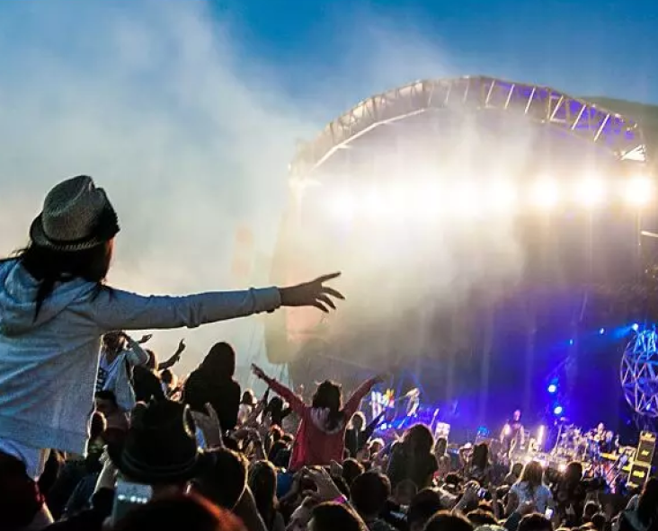 Festival pic